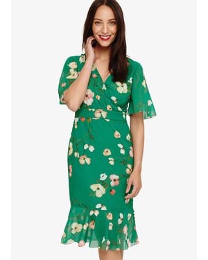 Phase Eight Hailey Floral Dress - Green