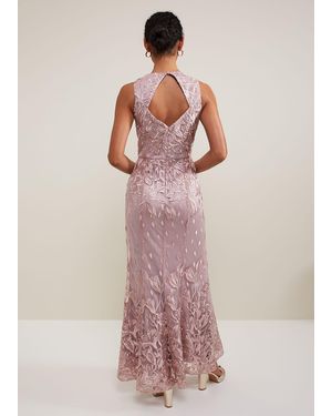 Phase eight antoinette dress discount