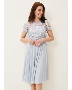Phase Eight Brandie Lace Bodice Chiffon Dress - Multicolour