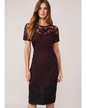 Phase Eight Kadie Cap Sleeve Tapework Dress - Black