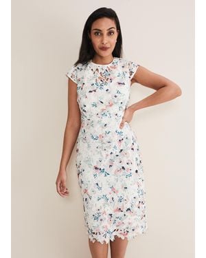 Phase Eight Petite Franky Floral Lace Dress - White
