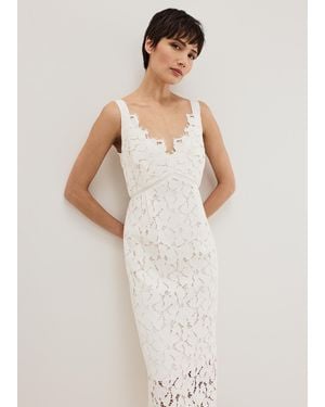 Phase Eight Gracie Lace Midi Dress - Grey