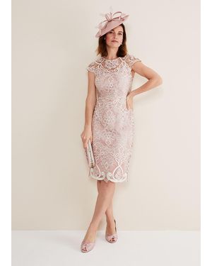 Phase Eight 's Frances Lace Fitted Dress - Natural
