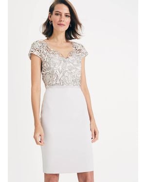 Phase Eight Charlotte Lace Dress - Multicolour