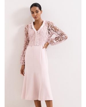 Phase Eight Petite Ayumi Lace Top Midi Dress - Pink