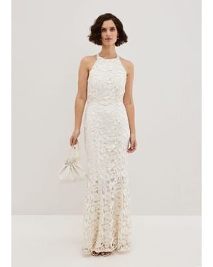 Phase Eight Olivia Bridal Lace Maxi Dress - Natural