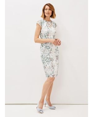 Phase Eight Franky Floral Lace Fitted Dress - White
