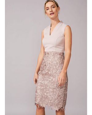 Phase Eight Aletta Lace Fitted Dress - Multicolour