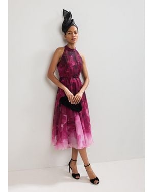 Phase Eight Bethany Floral Print Dress - Pink