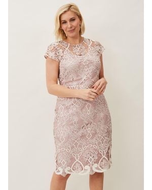 Phase Eight Frances Lace Fitted Dress - Pink
