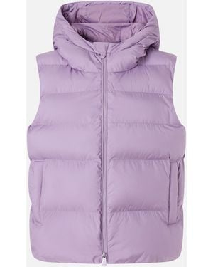 Pinko Padded Puffer Gilet With Hood - Purple