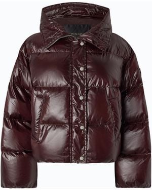 Pinko Technical Canvas Jacket With Hood - Brown