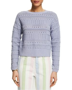 Esprit Pull Col Rond En Maille Ajourée De Coton Femme - Bleu