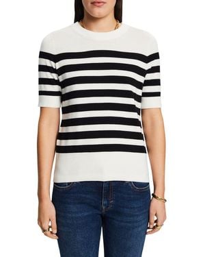 Esprit Pull Col Rond En Coton Femme - Bleu