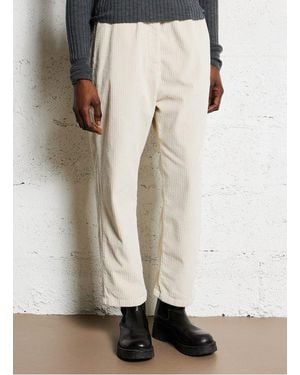 MASSCOB Pantalon Droit En Coton Femme - Neutre