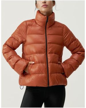 Born Veste De Sport Zippée Performance Athleisure Hack 2.0 Femme - Marron