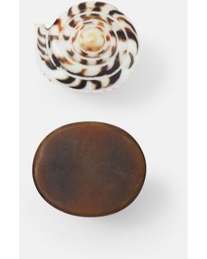 Pull&Bear Pack Of Shell Rings - White