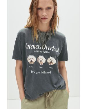Pull&Bear Dog Graphic T-Shirt - Grey