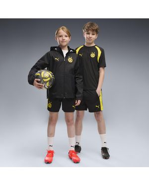 PUMA Shorts De Entrenamiento Borussia Dortmund Juveniles, Ropa, Negro