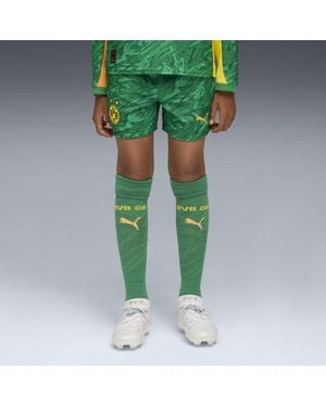 PUMA Borussia Dortmund 25/26 Goalkeeper Shorts Youth, Kleidung, Archive/Intense - Grün