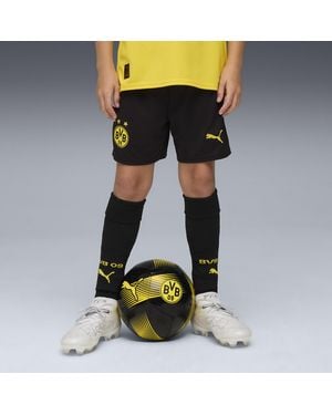 PUMA Borussia Dortmund 25/26 Shorts Youth, Kleidung, /Faster Gelb - Schwarz