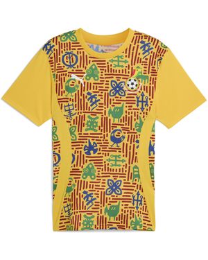 PUMA Camiseta Prepartido Ghana Para Hombre - Multicolor