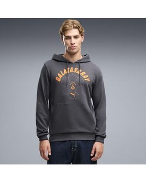 PUMA Galatasaray .K. Ftblculture Hoodie Herren, Kleidung - Grau