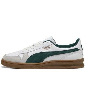 PUMA Indoor Sneakers Schuhe - Grün