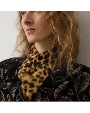 Ralph Lauren Leopard-Print Haircalf Scarf - Brown