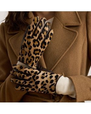 Ralph Lauren Ocelot-Print Haircalf & Sheepskin Gloves - Brown