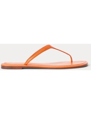 Polo Ralph Lauren Polo Play Leather Thong Sandal - Brown