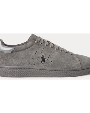 Ralph Lauren Wilton Suede Trainer - Grey