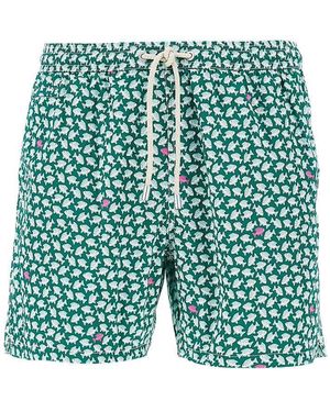 MC2 Saint Barth Seafish Print Swimshorts - Green