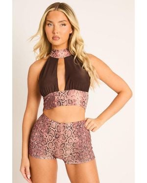 Rebellious Fashion Snake Print Halter Crop Top And Shorts Co-Ord Set - Brown