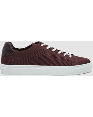 Reiss Finleyted Low-Top Sneakers - Brown