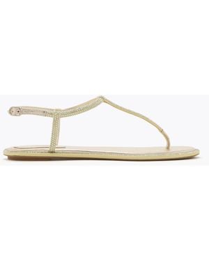 Rene Caovilla Diana Crystal Sandal 10 - White