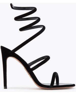 Rene Caovilla Cleo Velvet Sandal - Black