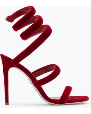 Rene Caovilla Cleo Ruby Velvet Sandal 105 - Red