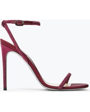 Rene Caovilla Ellabrita Crystal Burgundy Sandal 105 - White