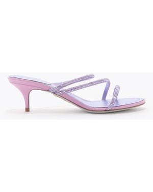 Rene Caovilla Erin Wisteria Mule 50 - White