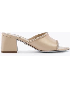 Rene Caovilla Margherita Champagne Mule 50 - Multicolour