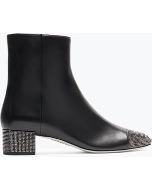 Rene Caovilla Bonnie Ankle Boot - Black