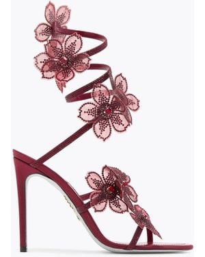 Rene Caovilla Peach Flower Burgundy Sandal 105 - Pink