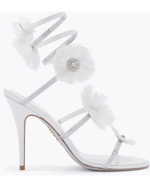 Rene Caovilla Jolene Sandal 100 - White