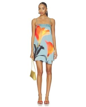 MISA Los Angles Inez Mini Dress - Orange