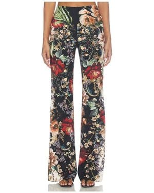 Alice + Olivia Andrew Mr Bootcut Slim Pant - Black