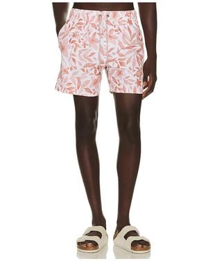 Vintage Summer 4 Way Stretch Volleys - Pink
