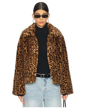 Apparis Elis Short Coat - Brown