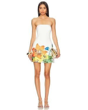 Runaway the Label Primrose Dress - Multicolour