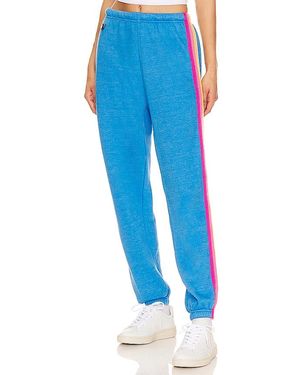 Aviator nation sale sweatpants hotsell